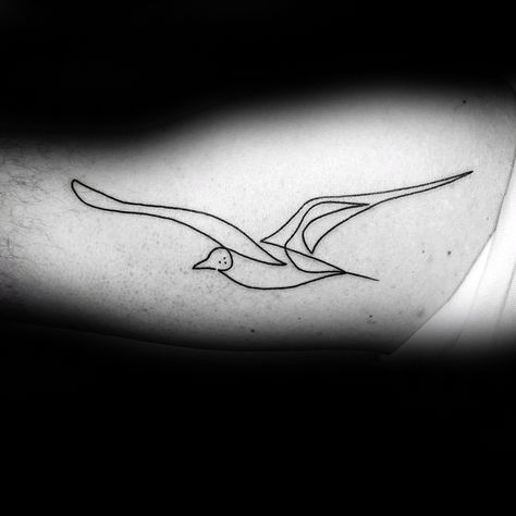 Seabird Tattoo, Seagull Tattoo Design, Sea Gull Tattoo, Seagull Tattoo Minimalist, Albatross Tattoo, Minimalist Seagull Tattoo, Seagull Tattoo Traditional, Seagull Line Tattoo, Seagull Tattoo