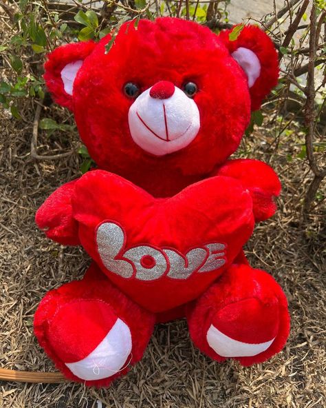 Red Valentine, Gifts For My Sister, Valentine Gift, Valentine Gifts, Teddy Bear, Gift Ideas, Red, Gifts, Quick Saves