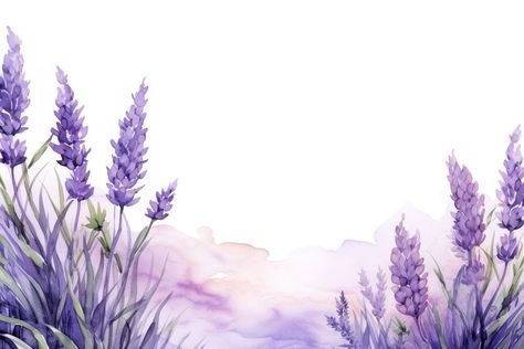 Download premium image of Lavenders landscape flower purple. about backgrounds, border, flower, space, and plant 13676330 Flower Border Landscape, Flower Background Landscape, Lavender Illustration Wallpaper, Purple Flower Border Design, Lavender Images Flower, Hot Air Balloon Drawing, Floral Background Lavander, Lavender Plant Background, Lavender Paint