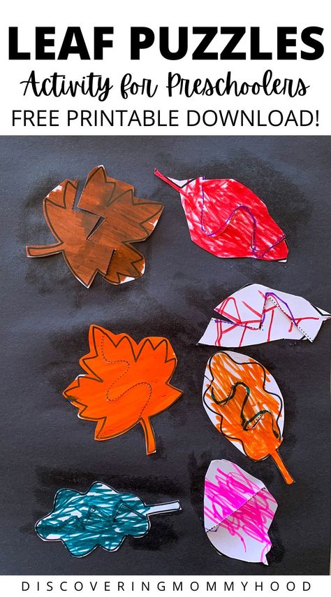 Fun fall activities for toddlers and preschoolers to develop fine motor skills for preschool at home.Free printable of leaf puzzles available for instant download! Leaves Crafts For Preschoolers, Leaves Preschool Activities, Fall Leaves Crafts Preschool, Leaf Lesson Plans, Fun Sensory Activities, Leaf Puzzle, Leaf Lessons, Preschool Weekly Lesson Plans, Fall Classroom Activities