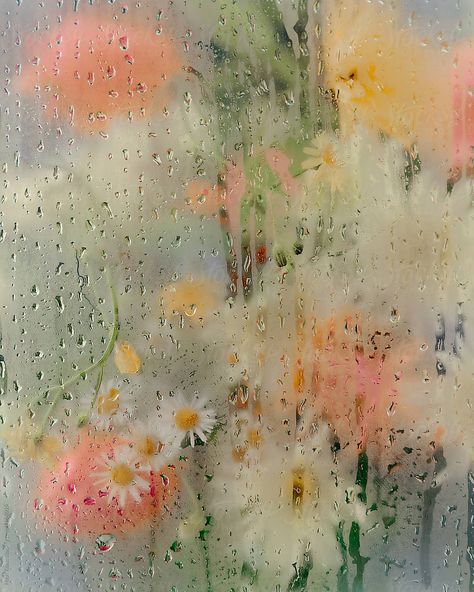 Flower Bouquet behind humid glass with water drops. Behind Glass Wallpaper, Glass With Water, Glass Wallpaper, Stock Flower, Beautiful Moon, Water Drops, Flowers Bouquet, Aesthetic Wallpapers, Royalty Free Stock Photos