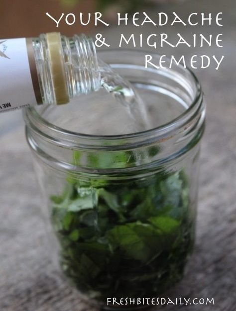 Your New Headache Remedy: A Simple Herbal Tincture (for Migraines too!) – Fresh Bites Daily Natural Headache, Natural Headache Remedies, Herbal Tinctures, Natural Healing Remedies, Migraine Relief, Diy Remedies, Headache Relief, Migraine Headaches, Natural Therapy