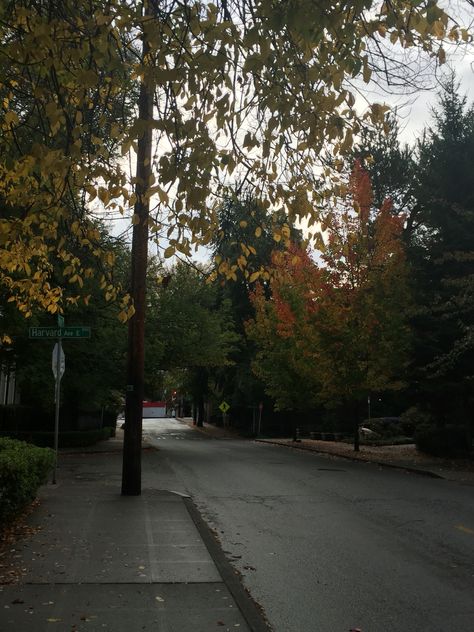 Seattle Suburbs, Seattle Scenery, Seattle Autumn, Life Moves Pretty Fast, Dark Nature Aesthetic, Countryside House, Nature Plants, Best Seasons, Autumn Aesthetic