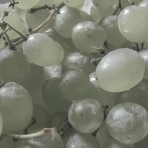 The Star Touched Queen, Green Vibe, Soft Kidcore Aesthetic, Pinterest Widget, Pale Aesthetic, Green Core, White Grape, Green Love, Black And White Background