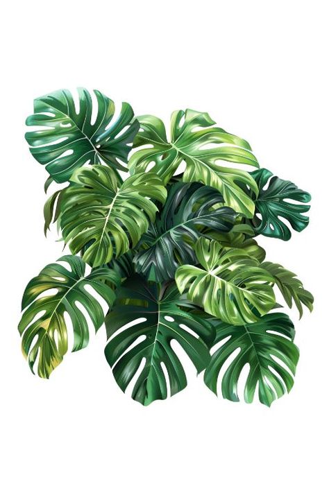 Balcony Garden Diy, Tropical Plant Artwork, Plants Artwork, Jungle Art Tropical Landscape, Jungle Foliage Illustration, Rainforest Plants Illustration, Tropical Foliage Illustration, Rooms Decoration, Plant Illustrations