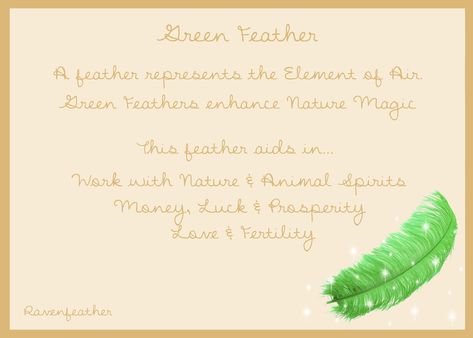 Green Feather Green Feather Meaning, Feather Color Meaning, Pagan Star, Feather Magic, Witch Types, Feather Symbolism, Feather Meaning, My Book Of Shadows, Candles Crystals