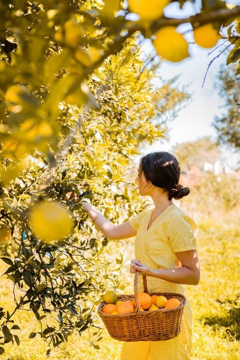 Orange Tree Photoshoot, Lemon Tree Photography, Yellow Cottagecore Aesthetic, Lemon Tree Aesthetic, Cottagecore Aesthetic Photoshoot, Orange Tree Aesthetic, Sonia Core, Lemon Photoshoot, Aesthetic Lemon