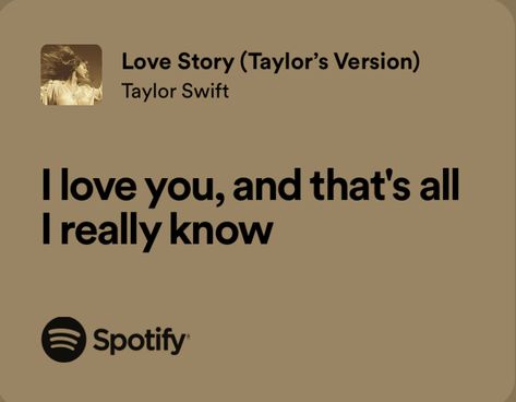 Taylor Love Lyrics, I Love You Lyrics, I Love You Taylor Swift Lyrics, Love Lyrics Taylor Swift, The Way I Love You Taylor Swift, I Love You In Taylor Swift Lyrics, Taylor Swift Lyrics Love, Taylor Swift Love Lyrics, Love Story Lyrics