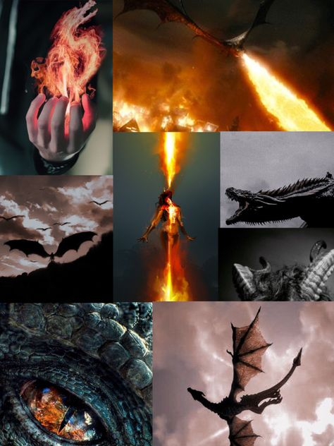 Dragon Human Hybrid Aesthetic, Dragon School Aesthetic, Dragon Shifter Aesthetic, Draconic Sorcerer Aesthetic, Dragoncore Aesthetic, Dragon Rider Aesthetic, Dragon Collage, Dragon Aesthetic, Queen Of Dragons