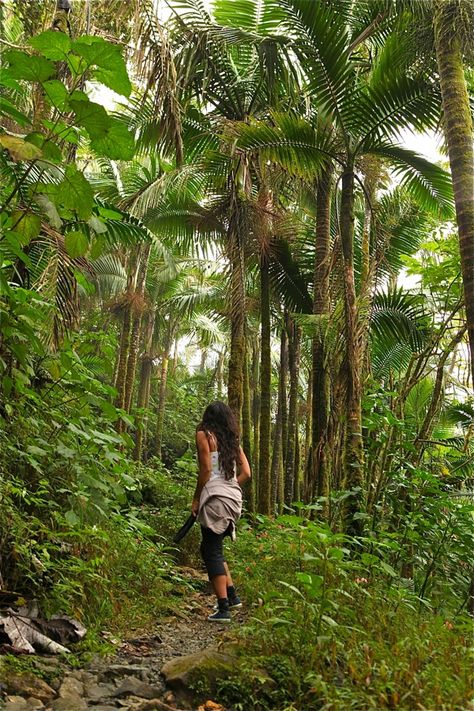 can I trade places with her please :) Amazon Rainforest Photography, Walking In Jungle, Rainforest City, Temperate Rainforest Aesthetic, Amazon Jungle Photography, Amazon Rainforest Plants, Amazon Forest, Jungle Resort, Rainforest Plants