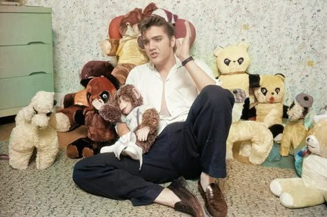 Elvis Recipes, Elvis Aesthetic, Wolfman Jack, Elvis Presley Wallpaper, Elvis Wallpaper, Elvis Photos, Elvis Memorabilia, Elvis Presley Movies, Suspicious Minds