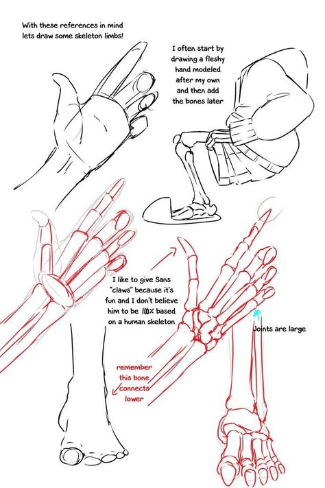 Skeleton Anatomy, Skeleton Drawings, Sans Art, Hand Drawing Reference, Human Anatomy Art, Anatomy Sketches, Art Tools Drawing, The Skeleton, Drawing Expressions