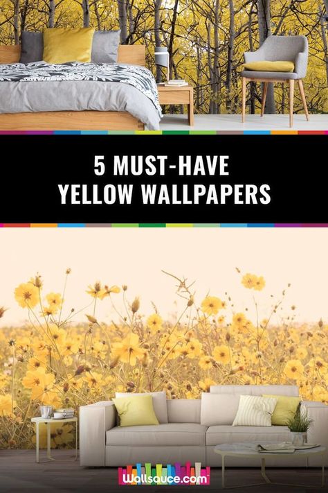 We show you how to embrace the interior trend of yellow wallpaper with five must-have designs including sunflower field pictures. Wallpaper Ideas Bedroom, What Wallpaper, Yellow Gray Bedroom, Bedroom Wallpaper Accent Wall, Sunflower Field Pictures, Yellow Wallpapers, Field Pictures, Bedroom Yellow, Wallpaper For Bedroom