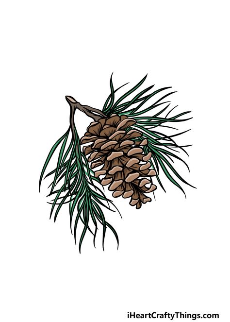 Draw A Pinecone, Pinecone Drawing, Pinecone Tattoo, Pine Cone Drawing, Cone Drawing, Maine Tattoo, Pine Tree Drawing, White Pine Cone, Pine Tree Painting