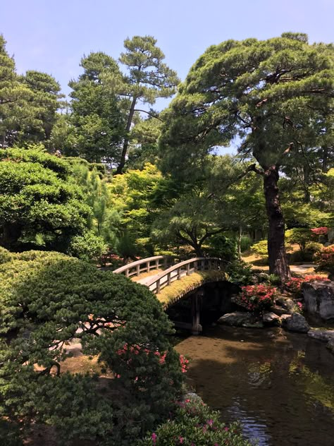 Kyoto gardens Date Places Aesthetic Korea, Maruyama Park Kyoto, Japan Botanical Garden, Japanese Park Aesthetic, Kyoto Garden London, Kyoto Garden, Japanese Plants, 2024 Moodboard, Reference Board