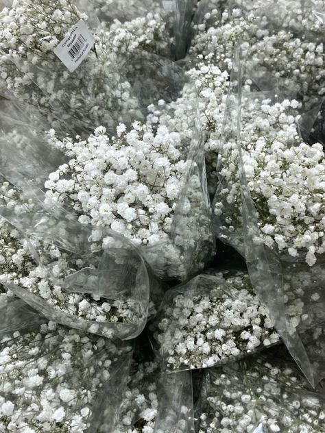 #aesthetic #flowers #white #small #shopping #minimalist #nature #cottagecore White Cottagecore Aesthetic, Nature Cottagecore, Breath Flowers, Aesthetic Flowers, Baby S Breath, Flowers White, Cottagecore Aesthetic, Baby's Breath, Aesthetic Themes