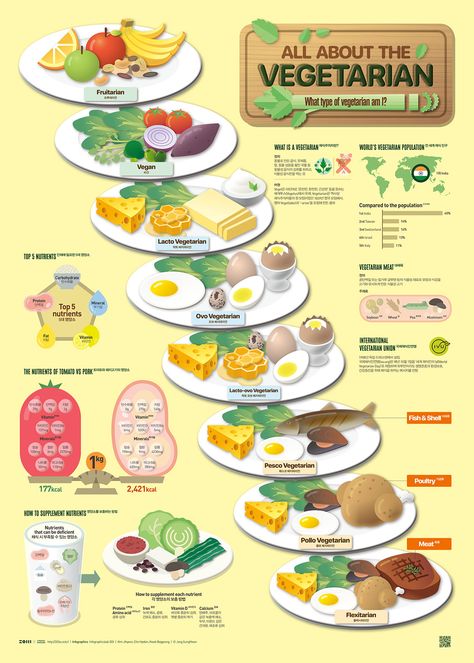 2021_11 ALL ABOUT VEGETARIAN on Behance Healthy Fast Food Options, Plant Diet, Kitchen Life Hacks, Ovo Vegetarian, Food Infographic, Fast Healthy Meals, Information Design, Food Videos Cooking, Vintage Recipes