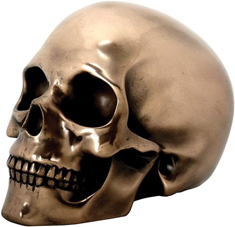 Amazon.com: SUMMIT COLLECTION Decorative Bronze Colored Skull Head Skeleton Figurine Statue: Home & Kitchen Head Skeleton, Skull Statue, Skull Crafts, Sensor Lights, Roman Statue, Creepy Decor, Greek Statues, Skeleton Head, Skeleton Decorations