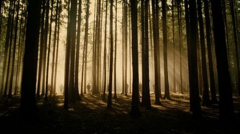 tracer bullets scratched scarlet lines across the sky. - decapitate animals Beautiful Cinematography, Shot Film, Dutch Angle, The Illusionist, Types Of Shots, Extreme Close Up, Cinema Photography, Film Grab, Long Shot