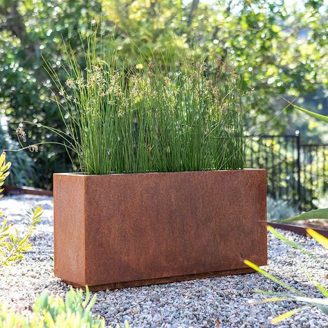 Rust Kitchen, Corten Steel Planters, Rectangular Planters, Modern Rustic Decor, Meteor Garden 2018, Steel Planters, Bbq Area, Decor Pillows, Tall Plants