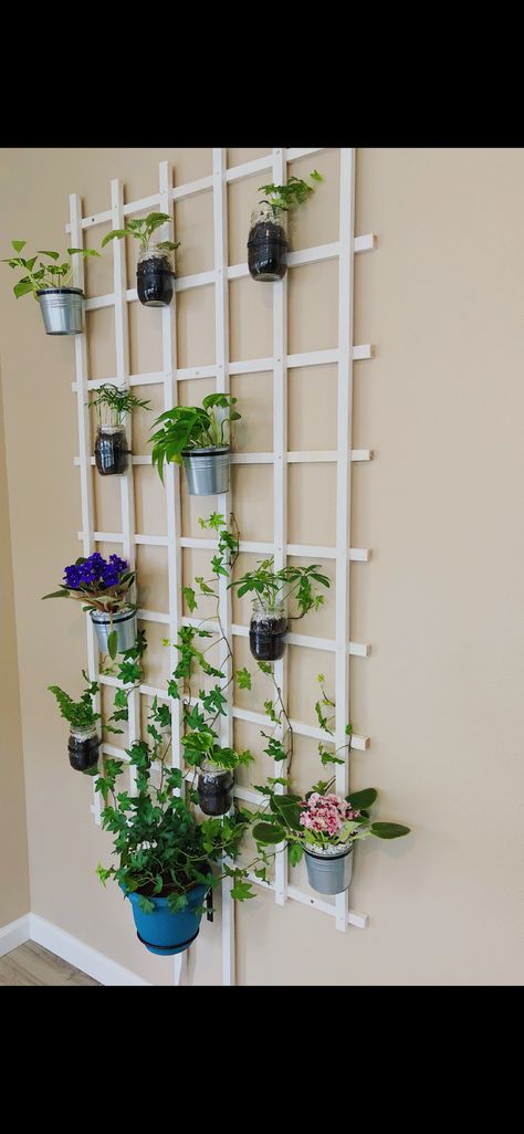 DIY—Indoor plant wall using trellis! Wall Mounted Planters Indoor Diy, Indoor Trellis Wall, Indoor Lattice Wall Decor, Indoor Trellis Ideas, Lattice Wall Indoor, Diy Trellis For Indoor Potted Plants, Diy Small Plant Trellis, Diy Small Indoor Plant Trellis, Trellis Ideas Garden