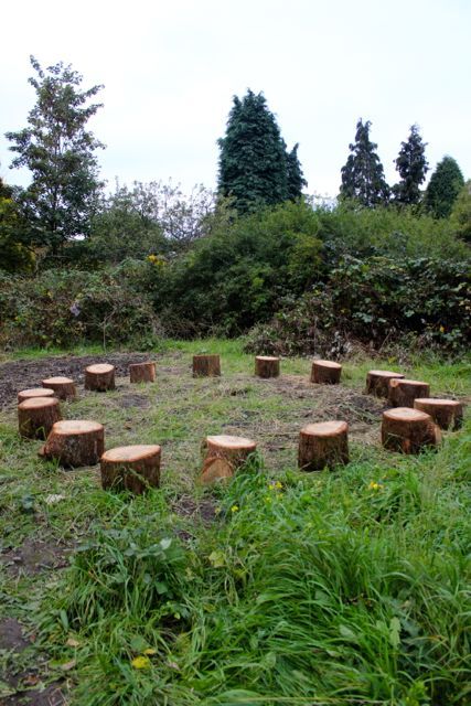 Forest School Design, School Seating, Wildlife Garden Design, School Farm, Forest Classroom, Preschool Garden, Forest School Activities, Copper Beech, Sacred Garden