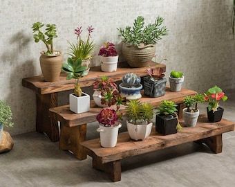 Plant Bench, Garden Rack, Wood Bench Outdoor, Vegetable Stand, Rustic Wooden Bench, Support Pour Plante, Wooden Planter Boxes, Wooden Plant Stands, Planter Stand