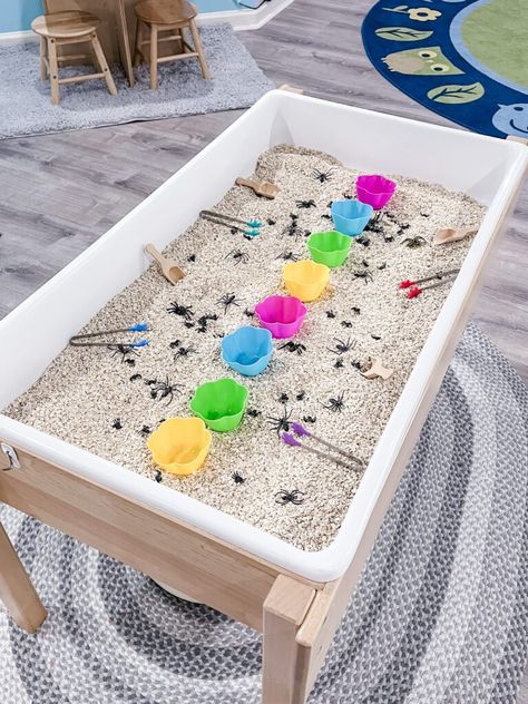 100 Sensory Table Ideas Spider Sensory Bin, Spider Sensory, Sensory Table Ideas, Nursery Rhyme Activities, Rhyme Activities, Play To Learn Preschool, Sensory Water, Sensory Bin Ideas, Nursery Rhymes Activities