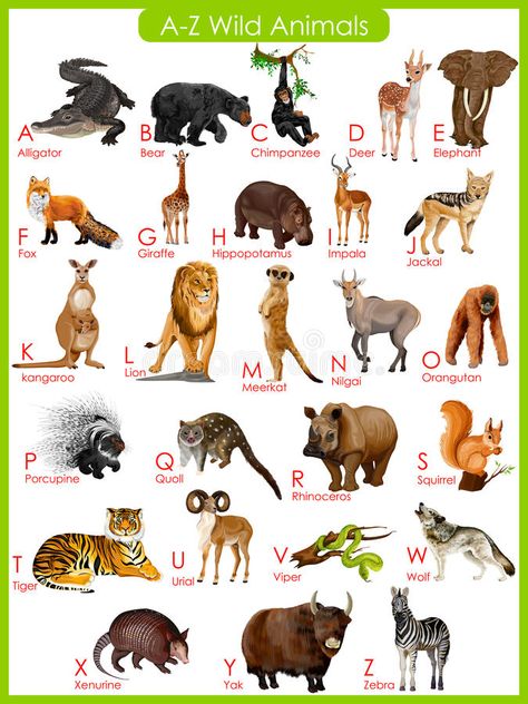 Illustration about Easy to edit vector illustration of chart of A to Z wild animals. Illustration of editable, animal, conservation - 55756259 Animals Name List, Wild Animals List, Animal Pictures For Kids, Animals Name In English, Wild Animals Vector, Animals Drawing, Animal Flashcards, Wild Animals Pictures, List Of Animals