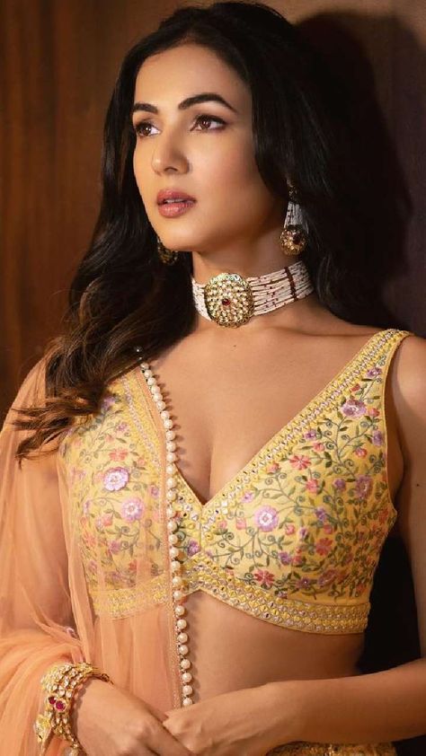 Plunging Neckline Blouse, Sonal Chauhan, Indian Dresses Traditional, Dupion Silk, Chaniya Choli, Thread Embroidery, Traditional Sarees, Thread Work, Silk Skirt