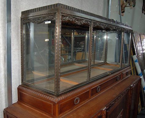 Antique Aquarium-- A girl can dream, right? Antique Aquarium, Aquarium Home Decor, Vintage Aquarium, Aquarium Home, Room Ideas Living Room, 1920 Art Deco, Fish Bowls, Aquarium Stand, Aquarium Supplies