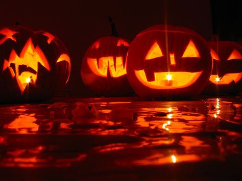 Halloween 2012 in Florence, what to do and where to go Halloween Date, Pumpkin Halloween Costume, Halloween Stories, Labu Halloween, Halloween Gif, Healthy Halloween, Adult Halloween Party, College Halloween, Halloween Banner