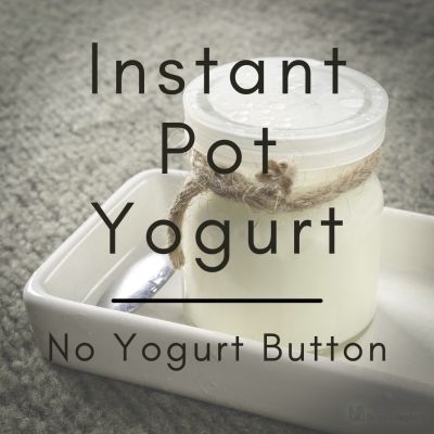 Dairy Free Yogurt Instant Pot, Coconut Yogurt Instant Pot, Dairy Free Yogurt Recipe, Instant Pot Yogurt Recipe, Homemade Coconut Yogurt, Low Carb Yogurt, Instant Pot Yogurt, Make Greek Yogurt, Coconut Milk Yogurt