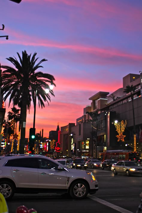 Tall Buildings, Palm Trees, Trees