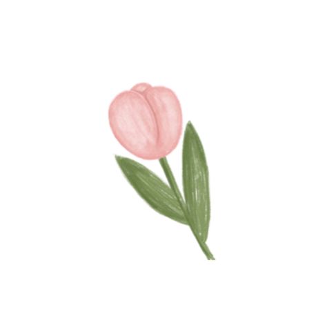 Tulip Homescreen, White Background App Icons, Matching Pfp Cute, Pp Cute, Pencil Sketches Easy, Flower App, Vintage Flowers Wallpaper, Flowers Wallpaper, Sketches Easy