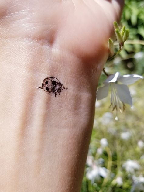 Four Leaf Clover With Ladybug Tattoo, Small Lady Bug Tattoos, Yellow Ladybug Tattoo, Small Worm Tattoo, Realistic Ladybug Tattoo Black And White, Two Ladybugs Tattoo, Doodle Bug Tattoo, Small Ladybug Tattoo Black And White, Realistic Ladybug Tattoo