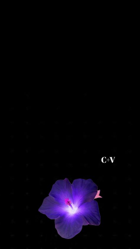 c+v wallpaper V Flower, Initial V, V Wallpaper, Pretty Landscapes, Flower Wallpaper, Initials, Wallpapers, Iphone, Purple