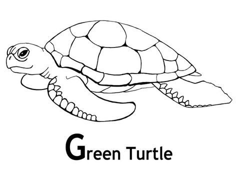 Green Sea Turtle Mexican Coloring Pages, from Animal Coloring Pages topics #coloring #coloringpages #printable Pictures Of Turtles, Turtle Coloring, Turtle Coloring Pages, Ocean Shore, Animals Drawing, Turtle Drawing, Sea Turtle Art, Summer Coloring Pages, Detailed Coloring Pages