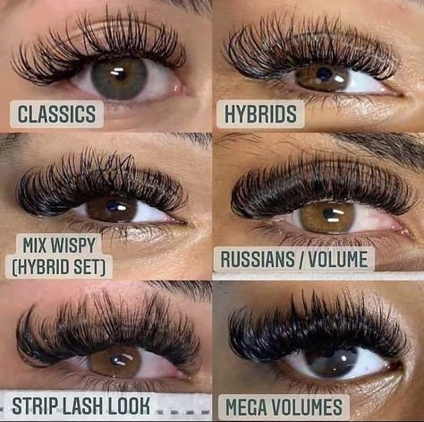 Eye Styles, Types Of Eyelash Extensions, Natural Fake Eyelashes, Individual Lash Extensions, Lashes Fake Eyelashes, Russian Volume Lashes, Lash Extension Supplies, Russian Lashes, Eyelash Tips