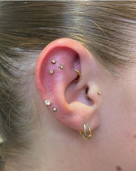 Upper Conch Piercing, Ears Pirsing, Forward Helix Piercing Ideas, Floating Helix Piercing, Upper Helix Piercing, Ear Setup, Mid Helix Piercing, Piercing Combinations, Piercing Inspo