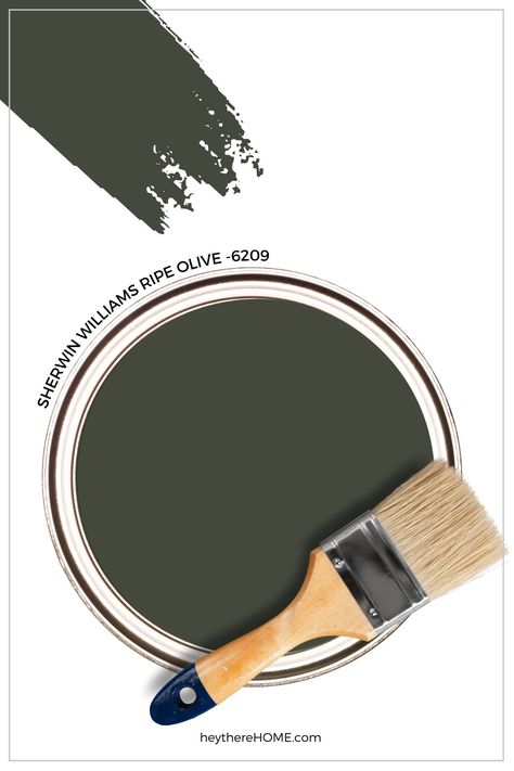 One of the prettiest deep green gray paint colors is Sherwin Williams Ripe Olive 6209. Get ready to be inspired as we look at how this color can be used in your home. Ripe Olive Paint Sherwin Williams, Deep Olive Paint Color, Olive Green Beadboard, Deep Olive Green Paint Colors, Paint Color For Dark Floors, Sherwin Williams Green Accent Wall, Ripe Olive Sherwin Williams Bedroom, Sherwin Williams Deep Green, Green Black Paint Color