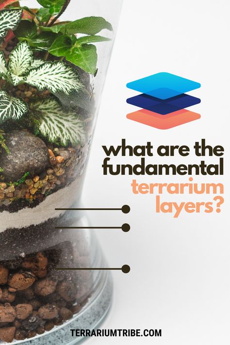 Types Of Terrariums, How To Create A Terrarium Garden, Creating A Terrarium, Enclosed Terrarium Ideas, Setting Up A Terrarium, Small Terrarium Ideas Miniature Gardens, How To Set Up A Terrarium, Building A Terrarium Diy, How To Start A Terrarium