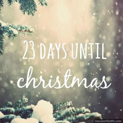 23 Days Until Christmas Quote christmas christmas quotes christmas countdown christmas quotes for facebook quotes for christmas christmas image quotes christmas picture quotes Strong Pictures, Ornaments Pictures, Christmas Fireworks, Countdown Quotes, Sunshine Pictures, Quote Pictures, Christmas Destinations, Merry Christmas Gif, Merry Christmas Pictures