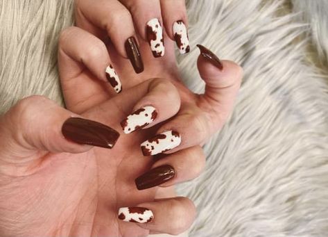 Country Acrylic Nails, Cow Print Nails, Brown Cow Print, Brown Acrylic Nails, Western Nails, Brown Nails Design, Cow Nails, Cute Toe Nails, Brown Cow