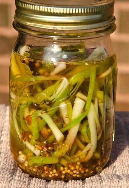 pickled ramps Ramps Recipe, Pickled Onions Recipe, Pickled Ramps, Wild Onion, Munchies Recipes, Sam Jones, Grilled Foods, Freezing Food, Wild Onions