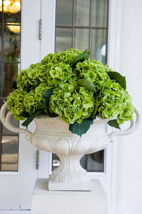 The New Pantone Color of the Year is Our Favorite Yet!  I'm channeling all things Pantone's Greenery. Using hydrangeas, especially Annabelle, is an easy way to use Greenery in your home decor and porch decor Hydrangea Centerpiece Diy, Hydrangea Centerpiece, نباتات منزلية, Garden Urns, Green Hydrangea, White Vase, Garden Containers, Deco Floral, Wedding Planners