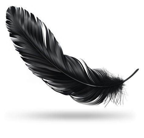 Download this clipart image of a black raven feather. Use this as a visual aid on a presentation side or in media designs. Feather Tattoo Design Men, Raven Feather Tattoo, Black Feather Drawing, Raven Feather Drawing, Raven Clipart, Raven Flying, Raven Feathers, Feather Clipart, Raven Design