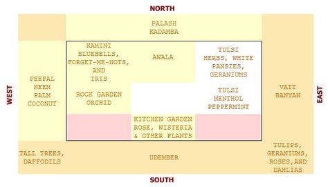 vastu-trees-plants Office Vastu, Vastu For Home, Kitchen Vastu, Tulasi Plant, Home Vastu, House Vastu, Vastu Remedies, Vaastu Shastra, Oxygen Plant