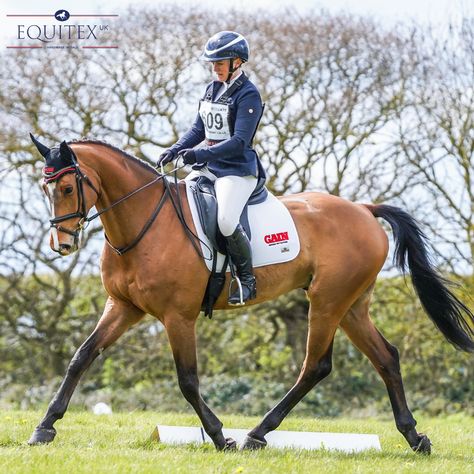 What an achievement for @gemmastevensequestrian winning three BE100 sections at Horseheath! 🥳 🏅 Cooley Park Muze, owned by the newly formed Rex Syndicate, jumps double clear to finish on an incredible 9.8 dressage score at his second ever event 👏 How fantastic does she look in her Equitex Saddle Pad in this image taken by @justmshannah 😍 #horses #dressage #equestriansofinstagram #achievement #incredible #GemmaStevens #hannahcolephotography #bayhorse #eventing #britisheventing #BE100 Draft Horse Dressage, Half Pass Dressage, Dressage Girth, Eventing Dressage, Chesnut Horses Dressage, Brown Dressage Saddle, Bay Horse, Saddle Pad, Saddle Pads