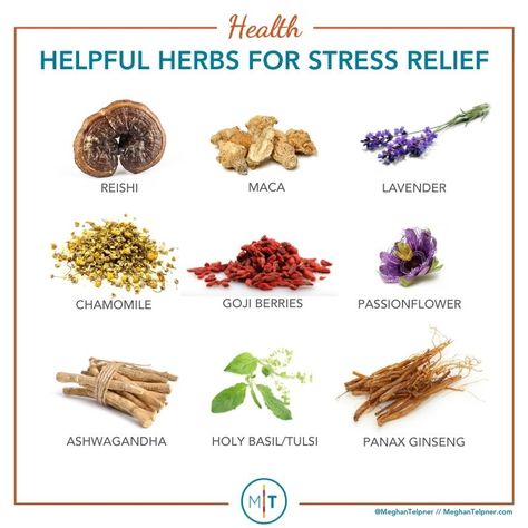 Stress-Busting Latte and 10 Herbs for Stress Relief - Meghan Telpner Herbs For Energy, Natural Decongestant, Medical Herbs, Magic Herbs, Natural Healing Remedies, Whole Food Diet, Herbs For Health, Healing Herbs, Medicinal Herbs